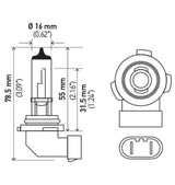 Hella H10 12V 65W Xen White Bulb (Pair) Hella Bulbs  AXOPROS