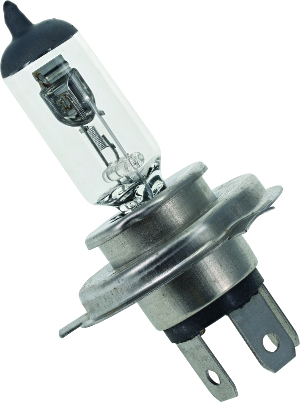 BikeMaster H-4 Halogen Bulb BikeMaster Bulbs  AXOPROS
