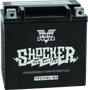 Twin Power YTX-14L Shocker Battery Replaces H-D 65958-04 220 CCA TwinPower Batteries  AXOPROS