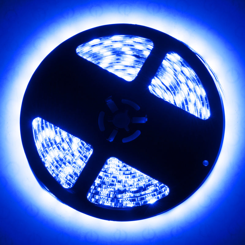 Oracle Exterior Black Flex LED 12in Strip - RGB ColorSHIFT ORACLE Lighting Light Strip LED  AXOPROS