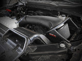 aFe Rapid Induction Cold Air Intake System w/Pro DRY S Filter 2021+ Ford F-150 V8-5.0L aFe Air Filters - Universal Fit  AXOPROS