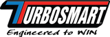 Turbosmart Billet Turbo Oil Feed Filter w/ 44 Micron Pleated Disc AN-4 Male to AN-4 ORB- Black Turbosmart Oil Filter Other  AXOPROS