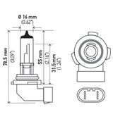 Hella H10 12V 65W Xen White Bulb (Pair) Hella Bulbs  AXOPROS