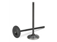 Supertech Honda/Acura K20/K24 Black Nitrided Intake Valve - +1mm Oversize - Set of 8 Supertech Valves  AXOPROS