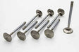 Manley Ford Coyote 5.0L DOHC 4 Valve 37mm Triple Groove Race Master Intake Valves (Set of 8) Manley Performance Valves  AXOPROS