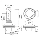Hella Bulb H9 12V 65W PGJ19-5 T4 Hella Bulbs  AXOPROS