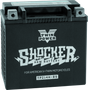 Twin Power YTX-14 Shocker Battery Replaces H-D 65948-00 220 CCA TwinPower Batteries  AXOPROS