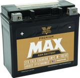 Twin Power GYZ-20HL Premium MAX Battery Replaces H-D 65989-97A Made in USA 320 CCA TwinPower Batteries  AXOPROS