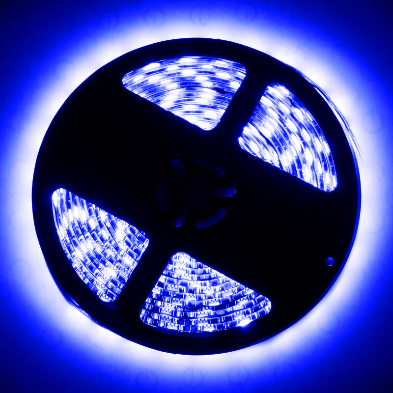 Oracle Exterior Black Flex LED 12in Strip - RGB ColorSHIFT ORACLE Lighting Light Strip LED  AXOPROS