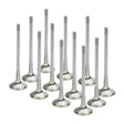 Supertech Audi/VW 1.8T 5V Inconel Exhaust Valve - Set of 12 Supertech Valves  AXOPROS