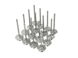Skunk2 Ultra Series Honda/Acura Stock Size K Series VTEC Valve Set (STD Compression) Skunk2 Racing Valves  AXOPROS