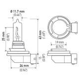 Hella Bulb H9 12V 65W PGJ19-5 T4 Hella Bulbs  AXOPROS