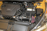 K&N 12 Hyundai Veloster 1.6L Typhoon Performance Intake Kit K&N Engineering Cold Air Intakes  AXOPROS