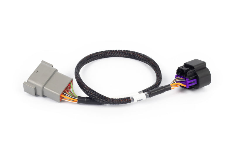 Haltech NEXUS Rebel LS 8-Pin DBW Adaptor Haltech Wiring Connectors  AXOPROS