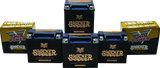 Twin Power YTX-14L Shocker Gel Battery Replaces H-D 65958-04 220 CCA TwinPower Batteries  AXOPROS