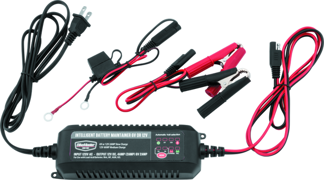 BikeMaster Intelligent Battery Charger BikeMaster Battery Chargers  AXOPROS
