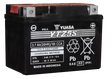 Yuasa YTZ5S-BS Maintenance Free AGM 12-Volt Battery w/Bottle Yuasa Battery Batteries  AXOPROS