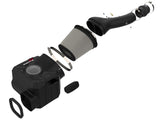 aFe Momentum GT Pro DRY S Cold Air Intake System 10-18 Toyota 4Runner V6 4.0L w/ Magnuson s/c aFe Cold Air Intakes  AXOPROS