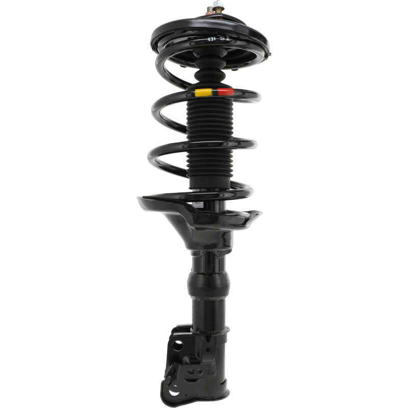 KYB Shocks & Struts Strut Plus Front Right 03-11 Honda Element (Excl SC) KYB Shock & Spring Kits  AXOPROS