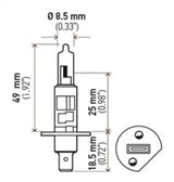 Hella Optilux H1 100W XB Extreme White Bulbs (Pair) Hella Bulbs  AXOPROS