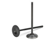 Supertech Honda B18A/B20 31x6.57x105.40mm Blk Nitrided Intake Valve - Set of 8 Supertech Valves  AXOPROS
