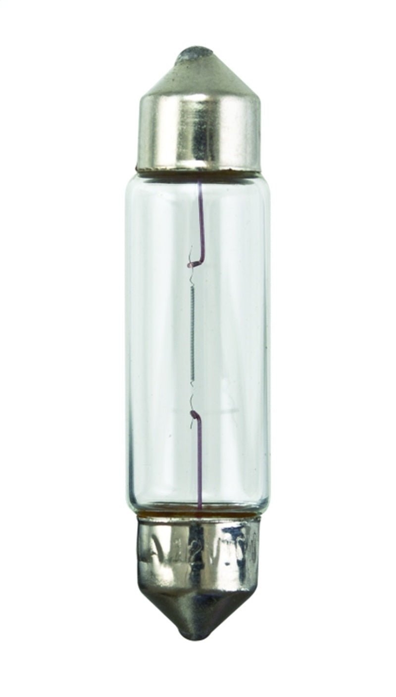 Hella Universal Clear 12V 10W 10x41mm T3.25 Bulb Hella Driving Lights  AXOPROS