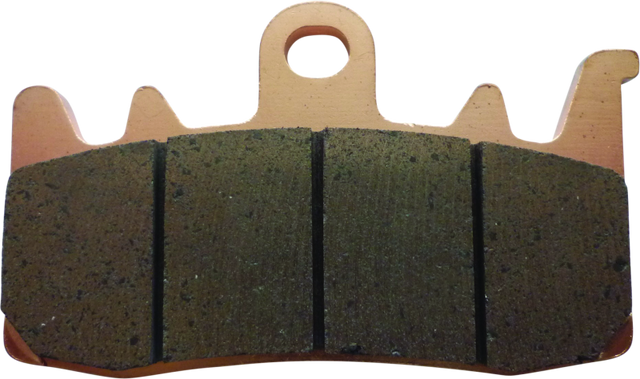 Twin Power 21-Up Pan America and Sportster S Sintered Brake Pads Replaces H-D 41300227 Front TwinPower Brake Pads - Performance  AXOPROS