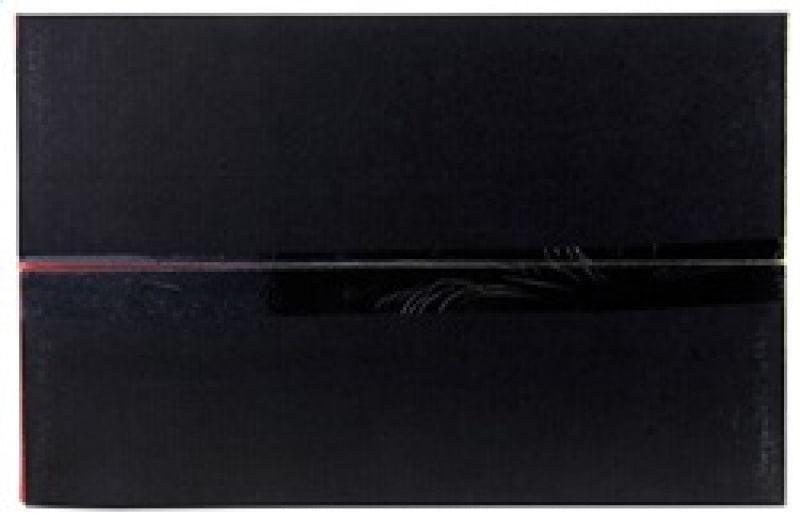 AEM 04-06 Mazda RX-8 Polished Cold Air Intake AEM Induction Cold Air Intakes  AXOPROS