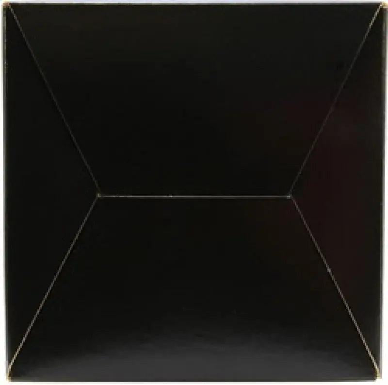 AEM 2.50 in Short Neck 5 in Element Filter AEM Induction Air Filters - Universal Fit  AXOPROS