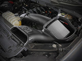 aFe 2021+ Ford F150 5.0L V8 MagnumFORCE Intake Stage-2 Pro DRY S aFe Cold Air Intakes  AXOPROS