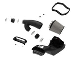 aFe MagnumFORCE Intake Stage-2 Pro DRY S 2021 Ford F-150 V6-3.5L (tt) aFe Cold Air Intakes  AXOPROS