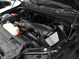 aFe MagnumFORCE Pro DRY S Stage-2 Intake System 16 Ford F-150 EcoBoost V6-2.7L/3.5L (tt) aFe Cold Air Intakes  AXOPROS
