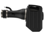aFe Momentum GT Pro DRY S Cold Air Intake System 17-18 Nissan Titan V8 5.6L aFe Cold Air Intakes  AXOPROS