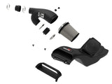 aFe POWER Momentum GT Pro Dry S Intake System 2021+ Ford F-150 V6-3.5L (tt) aFe Cold Air Intakes  AXOPROS