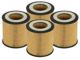 aFe Pro GUARD D2 Oil Filter 06-19 BMW Gas Cars L6-3.0T N54/55 - 4 Pack aFe Oil Filters  AXOPROS
