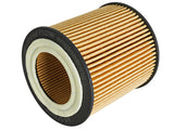 aFe Pro GUARD D2 Oil Filter 06-19 BMW Gas Cars L6-3.0T N54/55 aFe Oil Filters  AXOPROS