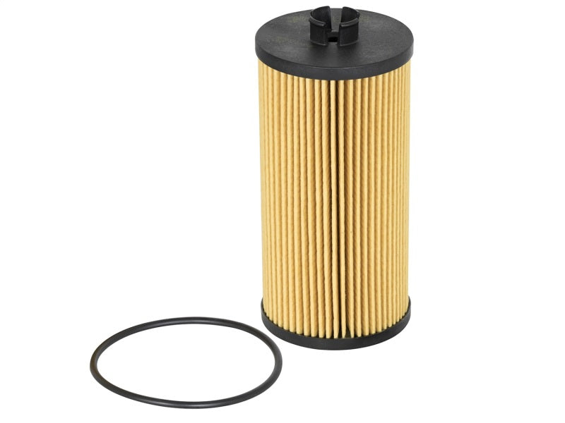 aFe ProGuard D2 Fluid Filters Oil F/F OIL Ford Diesel Trucks 03-10 V8-6.0/6.4L (td) aFe Oil Filters  AXOPROS