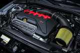 AWE Tuning Audi RS3 / TT RS S-FLO Open Carbon Fiber Intake AWE Tuning Cold Air Intakes  AXOPROS