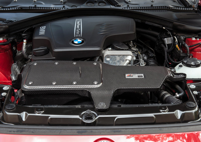 AWE Tuning BMW 228i/320i/328i/428i S-FLO Carbon Intake AWE Tuning Cold Air Intakes  AXOPROS