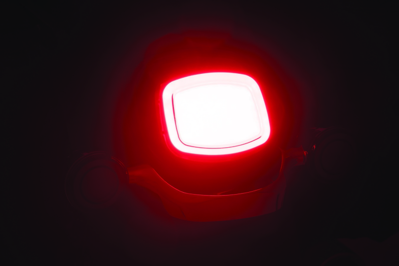 Kuryakyn Tracer LED Taillight Smoke Lens Without License Light Kuryakyn Tail Lights  AXOPROS
