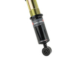 Skunk2 17-20 Honda Civic Si Pro-ST Coilovers Skunk2 Racing Coilovers  AXOPROS