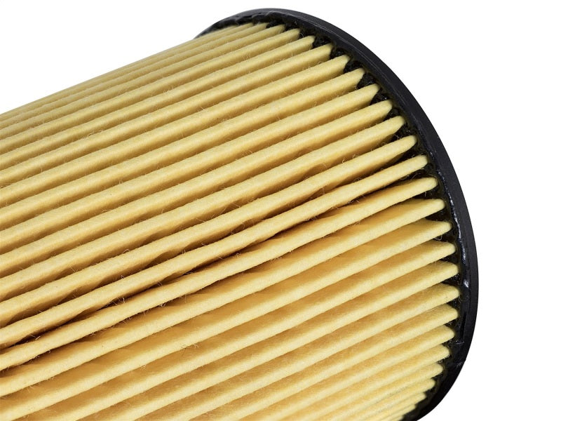 Pro GUARD HD Oil Filter RAM 1500 EcoDiesel 14-16 V6-3.0L (td) aFe Oil Filters  AXOPROS