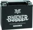 Twin Power YTX-20HL Shocker Battery Replaces H-D 65989-97A 310 CCA TwinPower Batteries  AXOPROS
