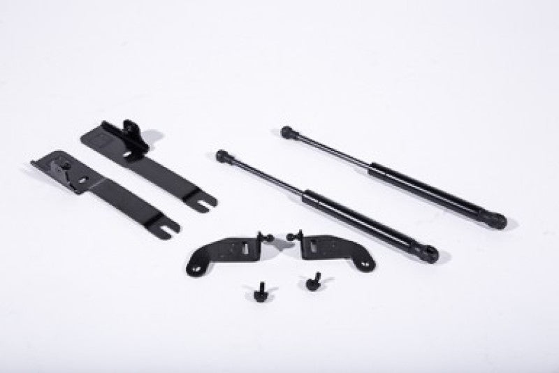 Roush 2015-2023 Ford Mustang Hood Strut (w/o Active Hood Saftey) Roush Hood Struts  AXOPROS