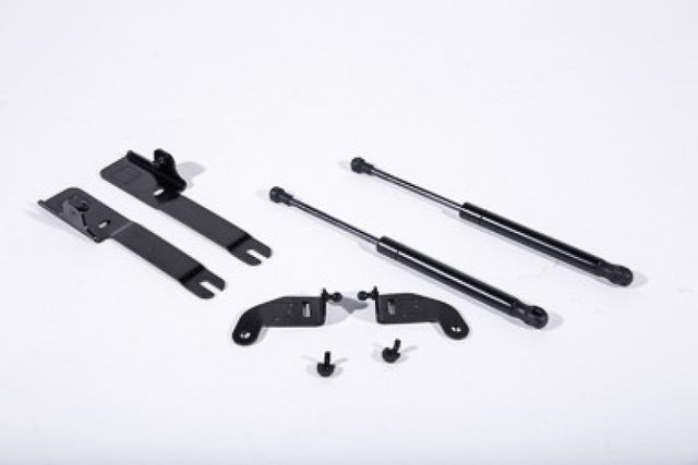 Roush 2015-2023 Ford Mustang Hood Strut (w/o Active Hood Saftey) Roush Hood Struts  AXOPROS