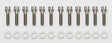Wilwood Bolt Kit - Front Fixed Rotors 12 Pt. Stainless Wilwood Brake Hardware  AXOPROS