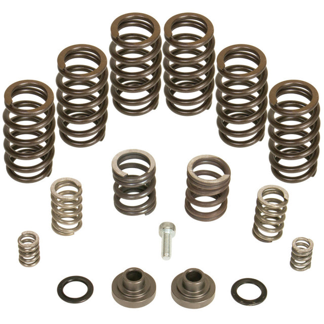 BD Diesel Governor Spring Kit 4000rpm - 1994-1998 Dodge 12-valve/P7100 Pump BD Diesel Injection Pump Components  AXOPROS