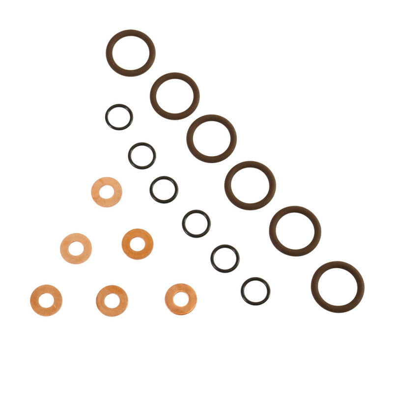 BD Diesel ISB Injector Seal Kit - Dodge 1998.5-2002 5.9L 24-valve BD Diesel Injection Pump Components  AXOPROS