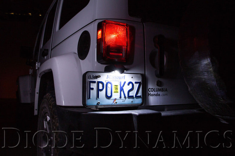 Diode Dynamics 194 LED Bulb HP5 LED - Cool - White (Single) Diode Dynamics Bulbs  AXOPROS