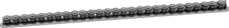 BikeMaster 520x110 Chain BikeMaster Chains  AXOPROS